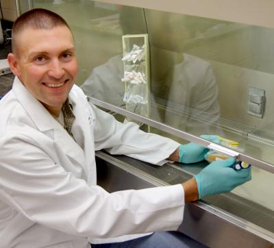 Benjamin Hause, Kansas State University