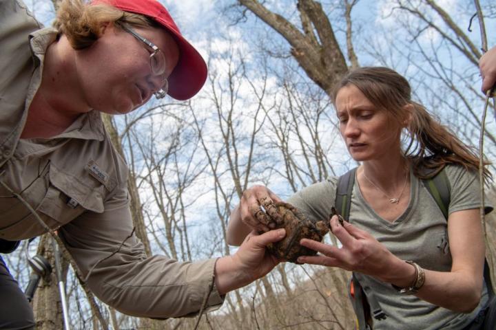 Research Finds Turtles Are Potentially Cutoff by Bypass through Wayne National Forest