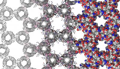 Illustration of Custom-Designed Protein Crystal