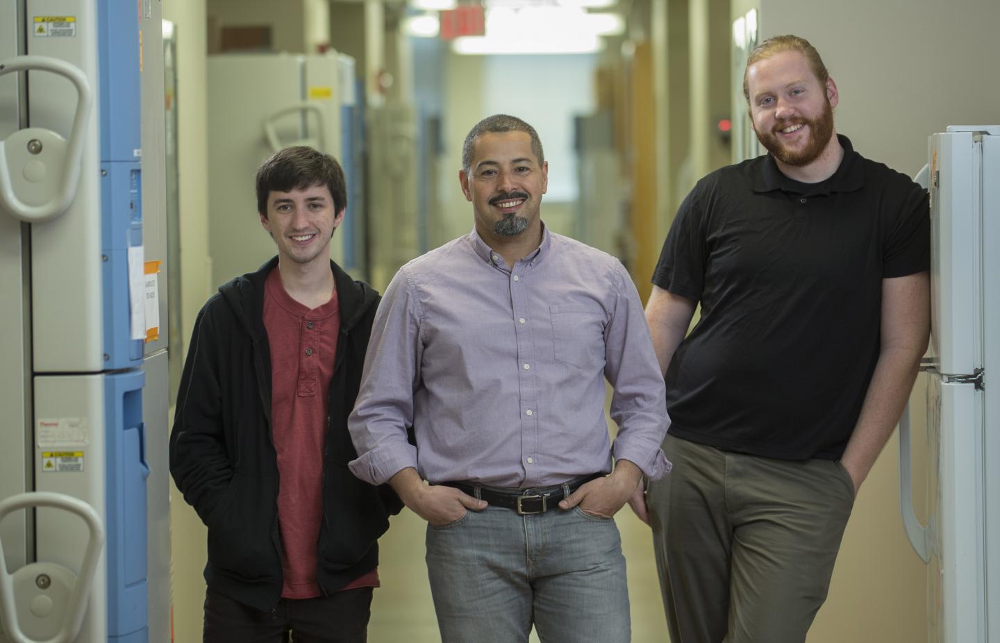 Resveratrol and Metformin